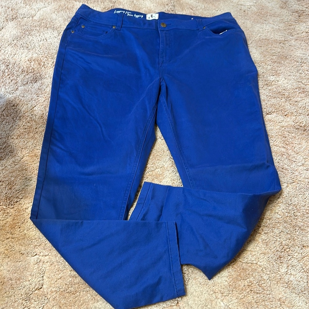 Diane Gilman DG2 Jeans. Leggings. Size 24